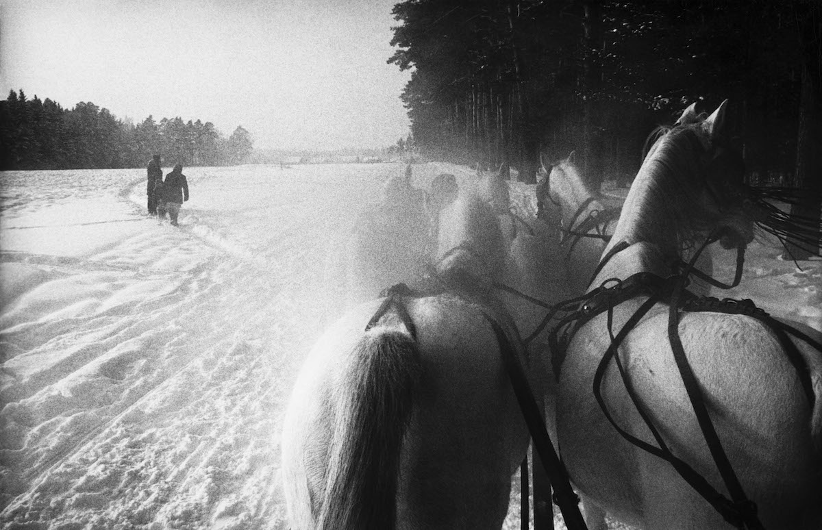 USSR. Piatnika. Five horse sleigh on a stud farm 40 miles west of Moscow. 1965.