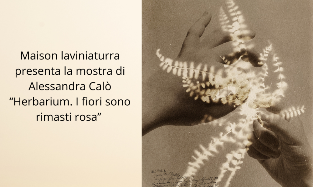Alessandra Calò, Herbarium. I fiori sono rimasti rosa