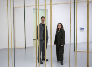 ALLA GAM DI TORINO L’ANTI-SCULTURA DI ALICE CATTANEO
