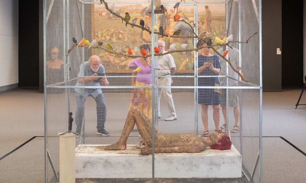 AKANARI​: la nuova performance di Nayra Martín Reyes