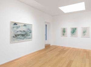 Melissa McGill. Segno d’Acqua